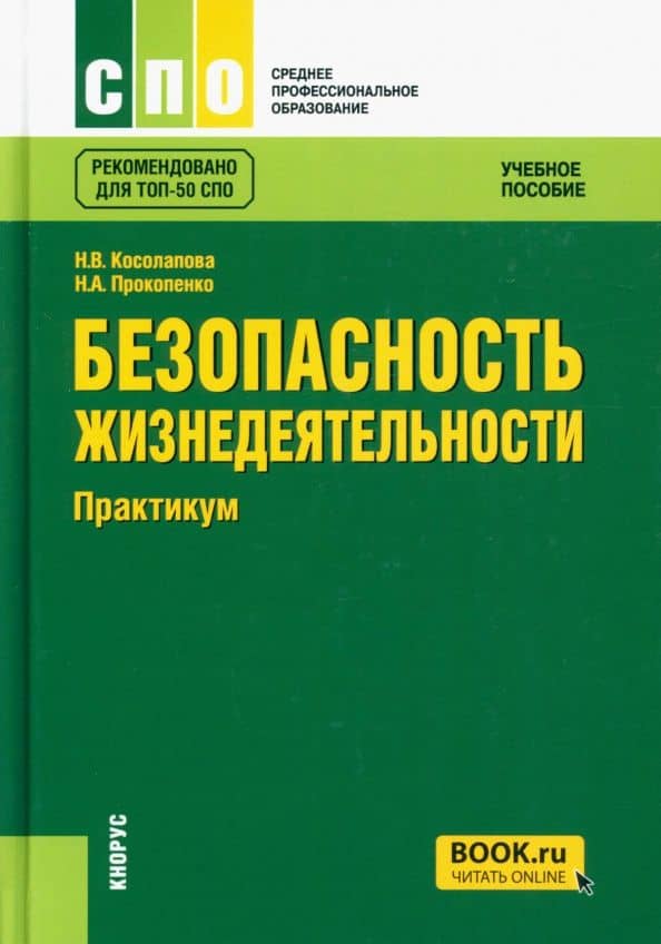 Безопасность жизнедеятельности. Практикум. Учебное пособие — Нина Васильевна Косолапова
