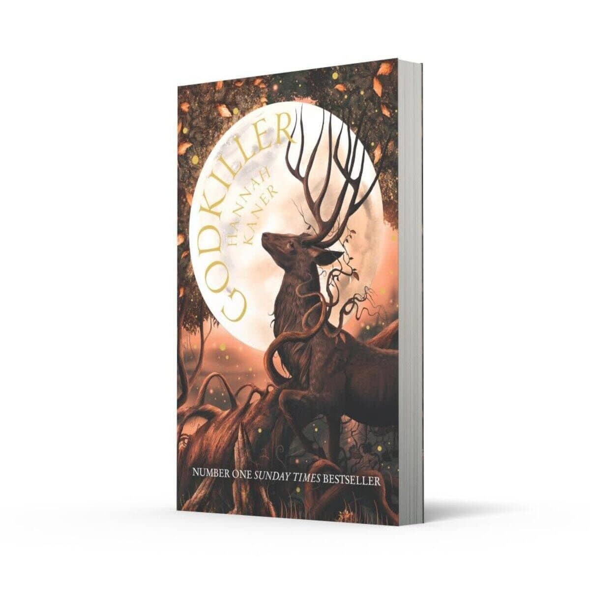 Godkiller: Book 1 — Ханна Канер (3)
