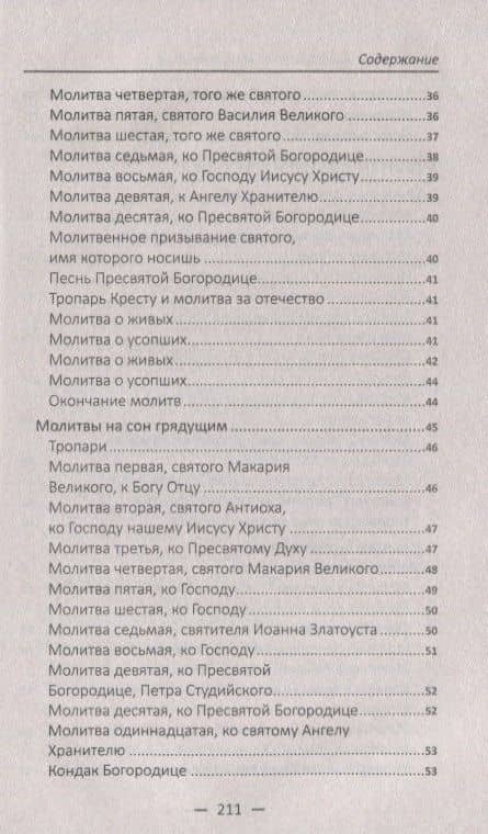 "Ангеле Божий, хранителю мой святый…". Материнские молитвы о детях и семье — Наталья Андреевна Матушкина (3)