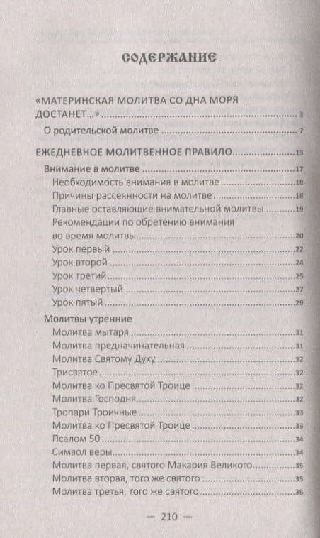 "Ангеле Божий, хранителю мой святый…". Материнские молитвы о детях и семье — Наталья Андреевна Матушкина (2)