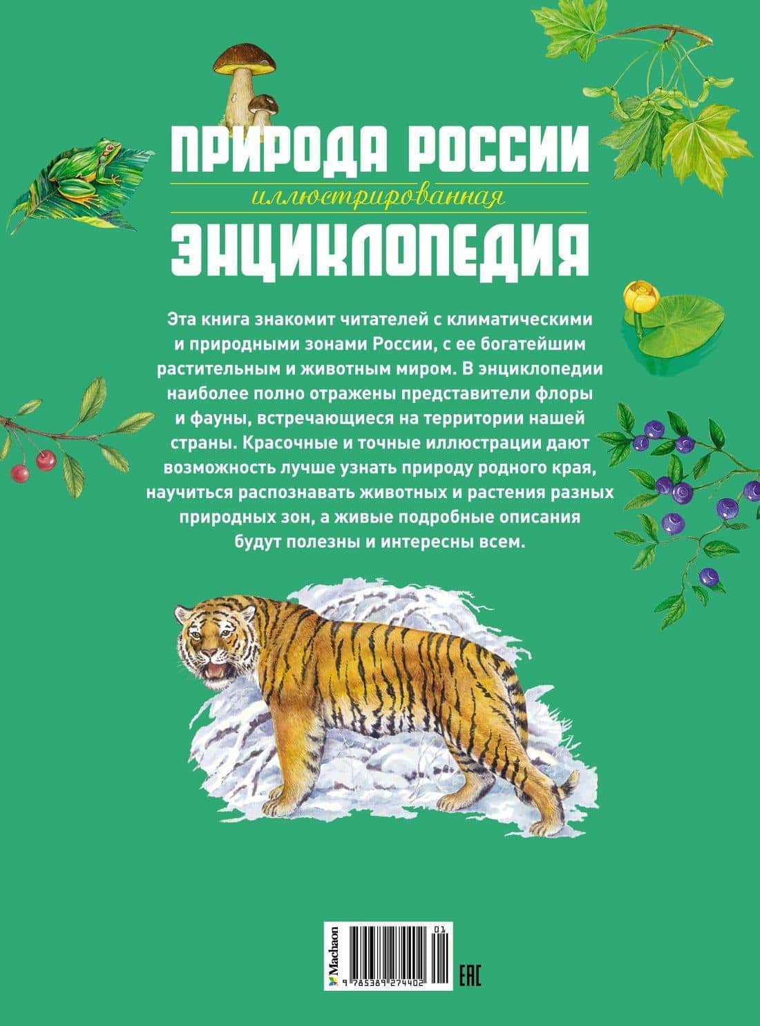 Природа России. Иллюстрированная энциклопедия — Тамара Романова (2)