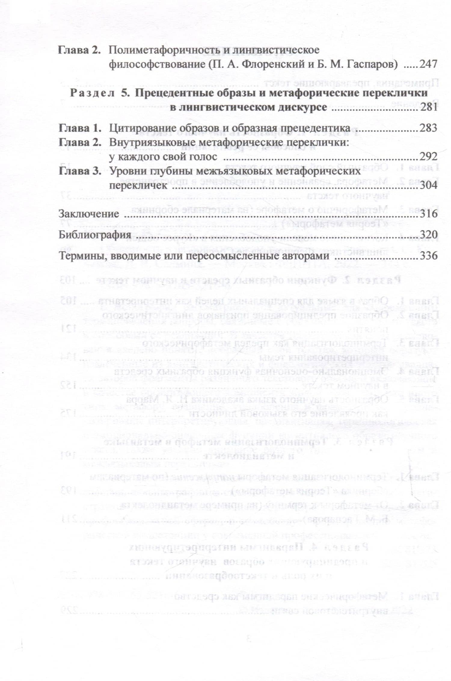 Образность в филологическом тексте : монография — Диана Валентиновна Салмина (3)