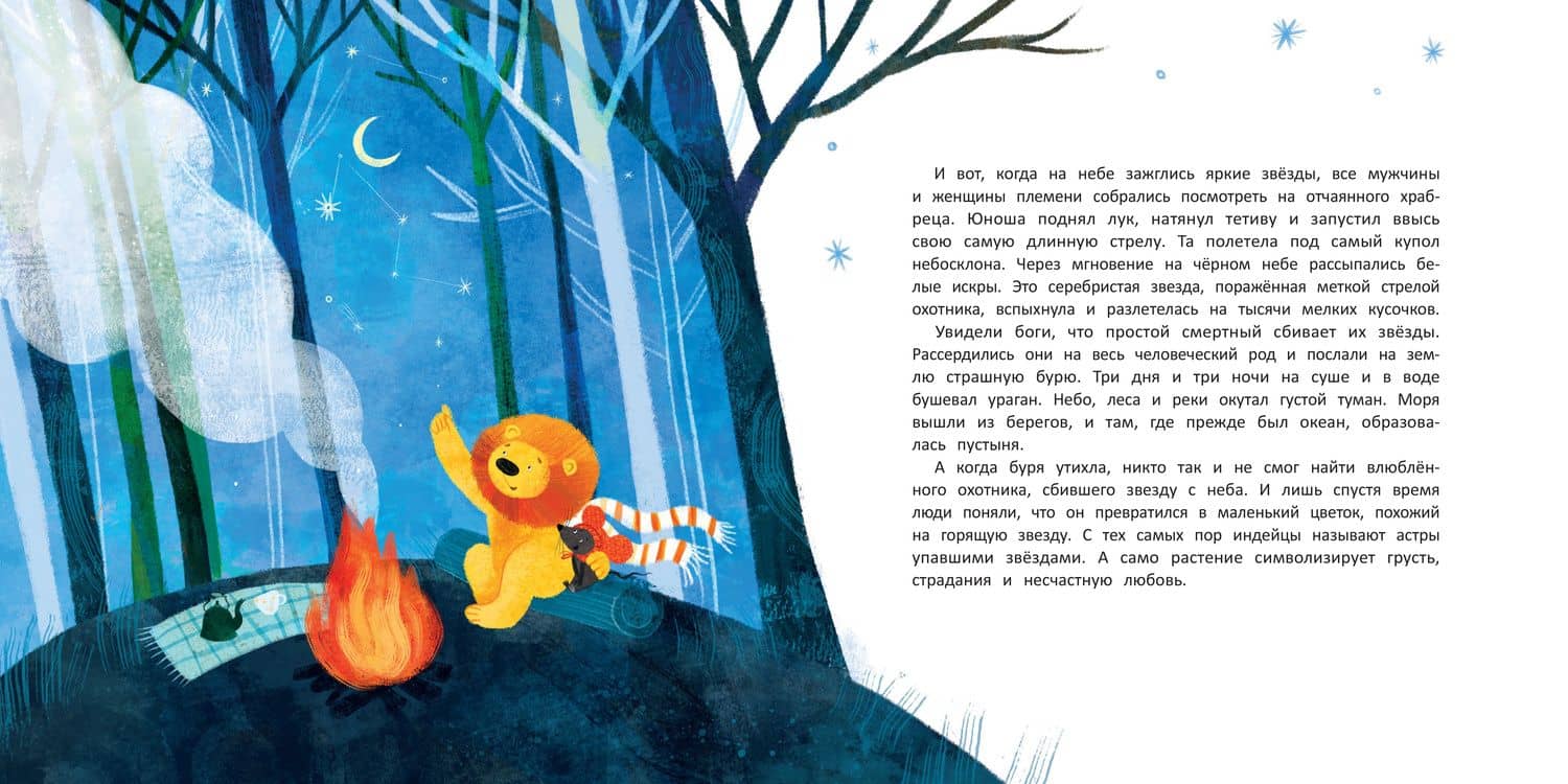 Как львенок и мышонок звезды искали — Анна Федулова (2)