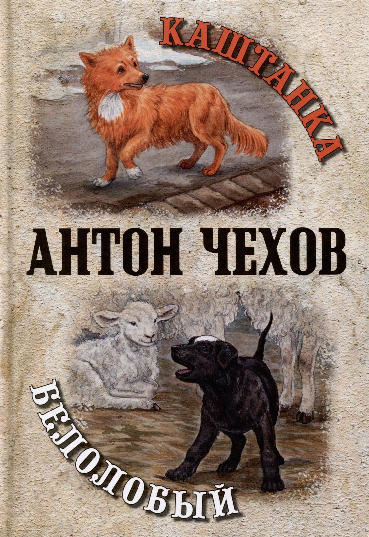 Каштанка. Белолобый
