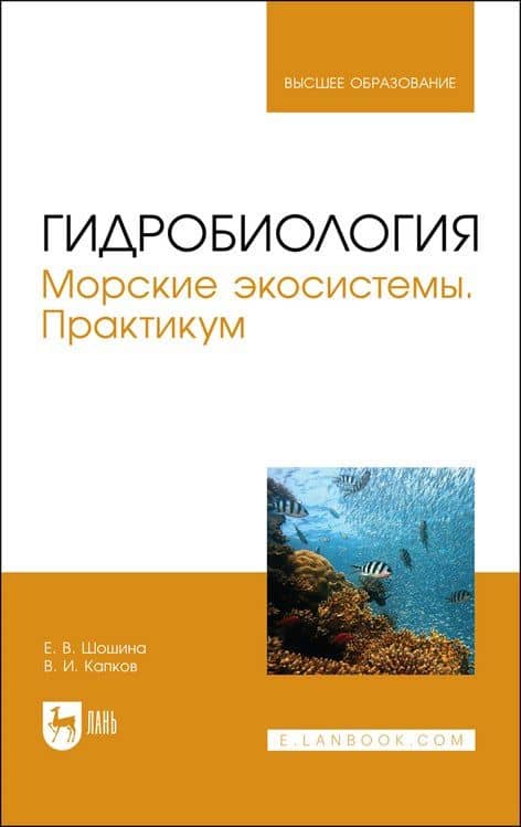 Гидробиология. Морские экосистемы. Практикум. Учебное пособие — Валентин Иванович Капков