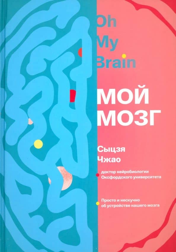 Мой мозг