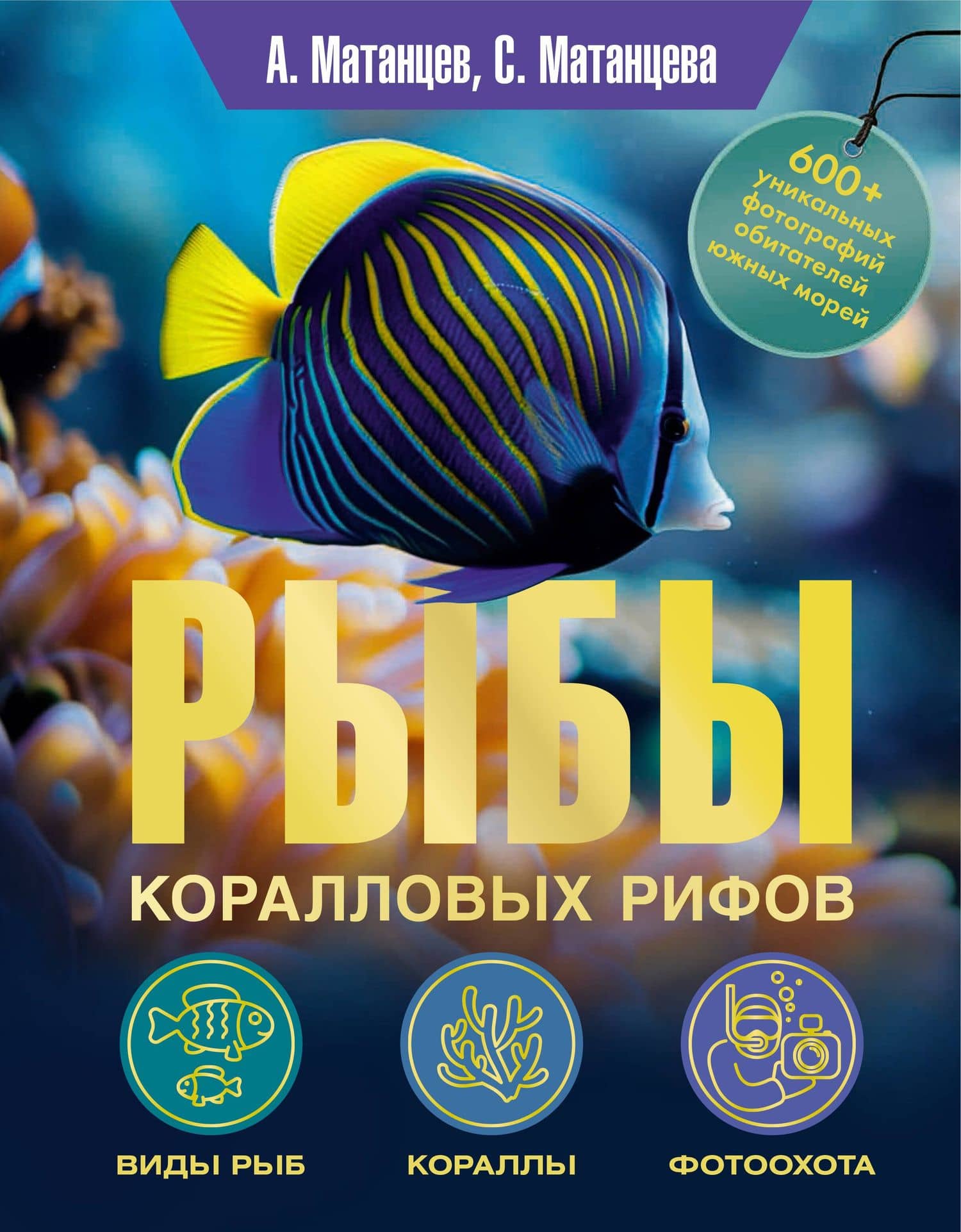 Рыбы коралловых рифов — Александр Николаевич Матанцев