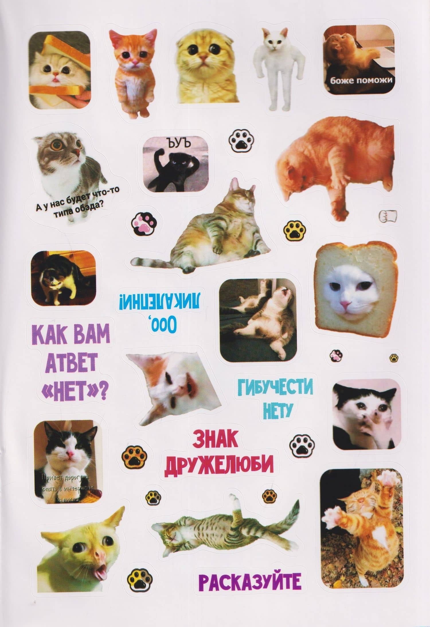 Мяумемы. Котостикеры с ВАУ-эффектом! Наклейки (3)