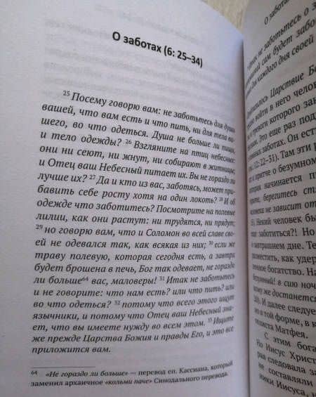Жемчужины Нагорной проповеди. О главном в христианстве — Ианнуарий (Ивлиев) Архимандрит (3)