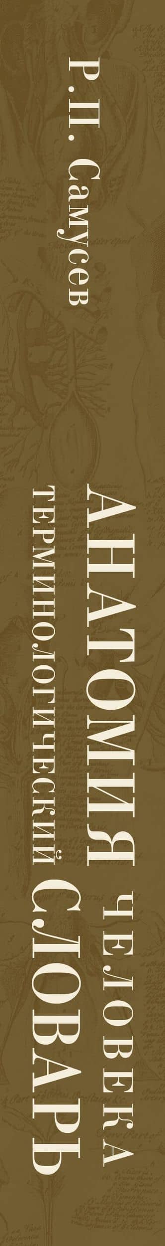 Анатомия человека.Терминологический словарь — Рудольф Павлович Самусев (3)