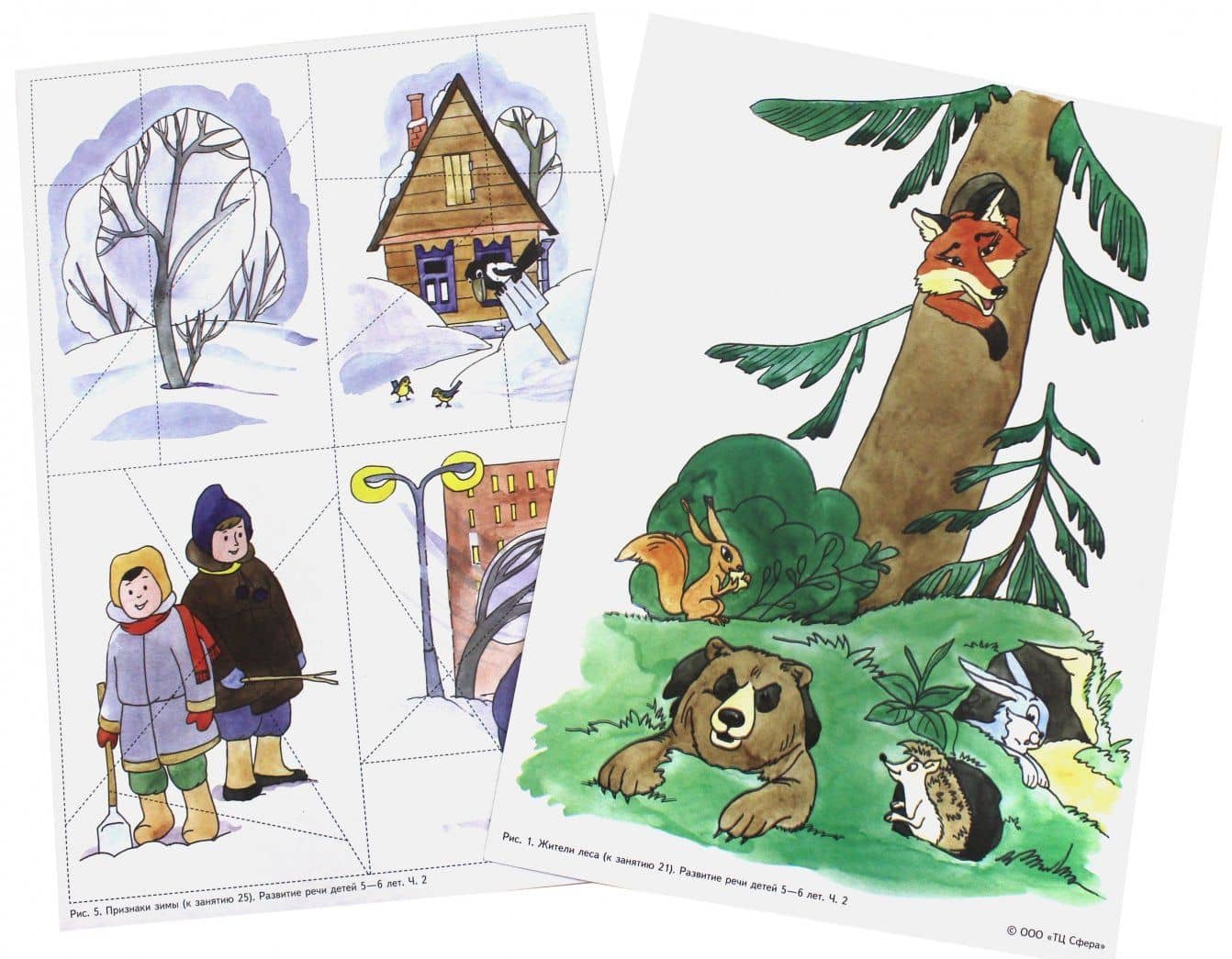 Беседы по картинкам. Развитие речи детей 5-6 лет. Часть 2. 16 рисунков. ФГОС ДО — Галина Николаевна Соломатина (2)