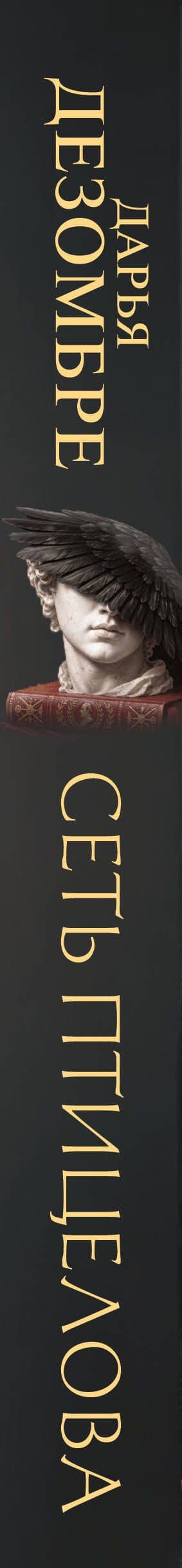Сеть птицелова — Дарья Дезомбре (3)