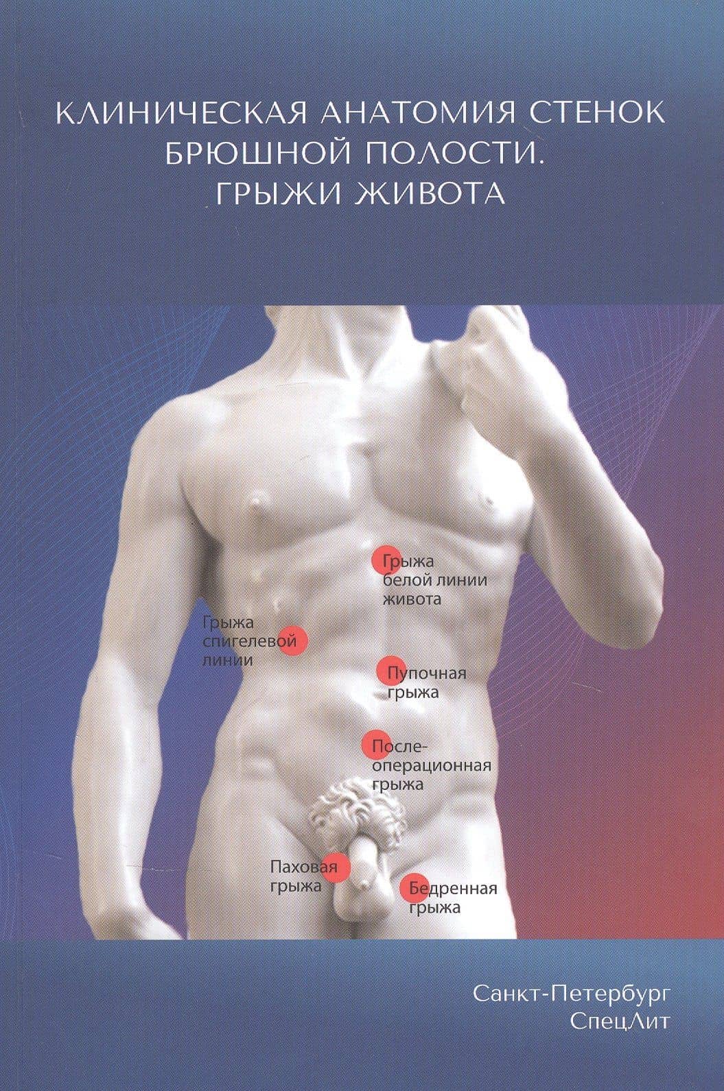 Клиническая анатомия стенок брюшной полости. Грыжи живота — Георгий Иванович Синенченко