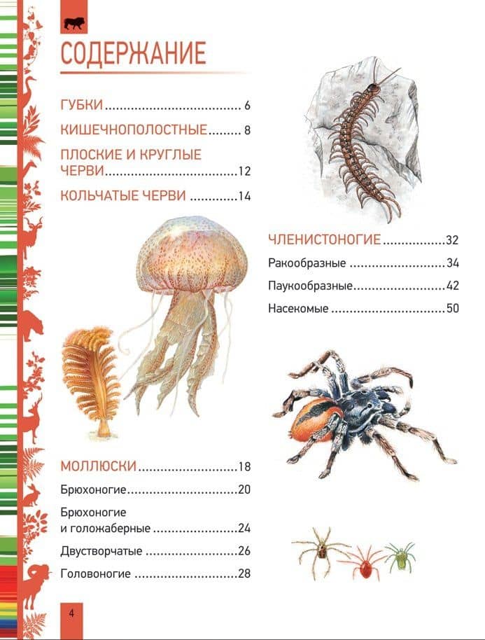 Животные. Большая энциклопедия (2)