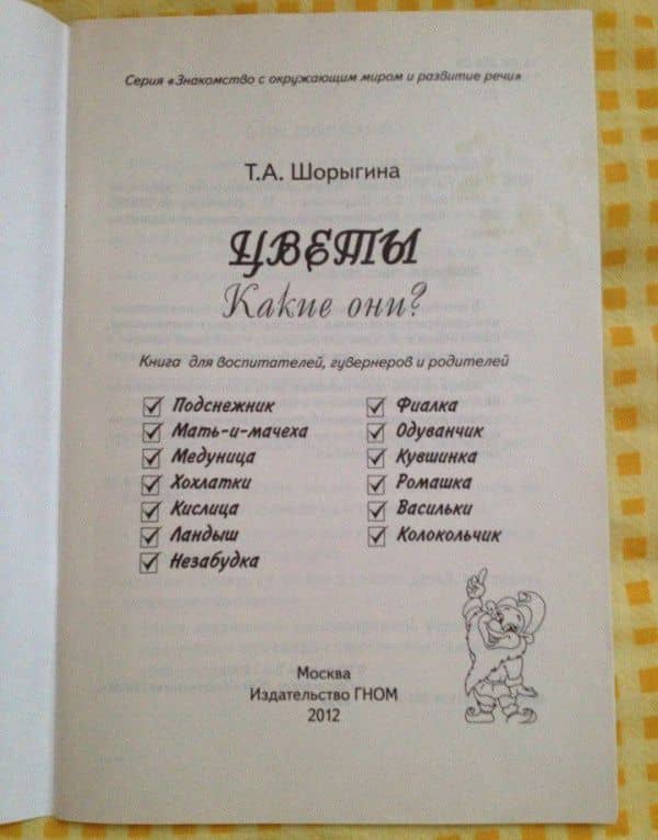 Цветы. Какие они? Книга для воспитателей, гувернеров и родителей — Татьяна Андреевна Шорыгина (3)