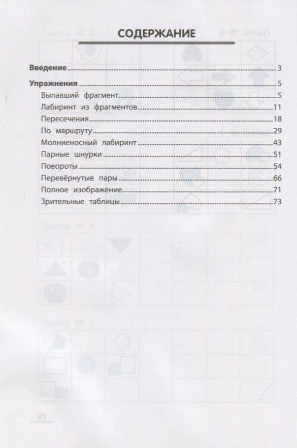 ЛабиринтУМ:визуальное мышление дп — Татьяна Александровна Сухомлинова (2)