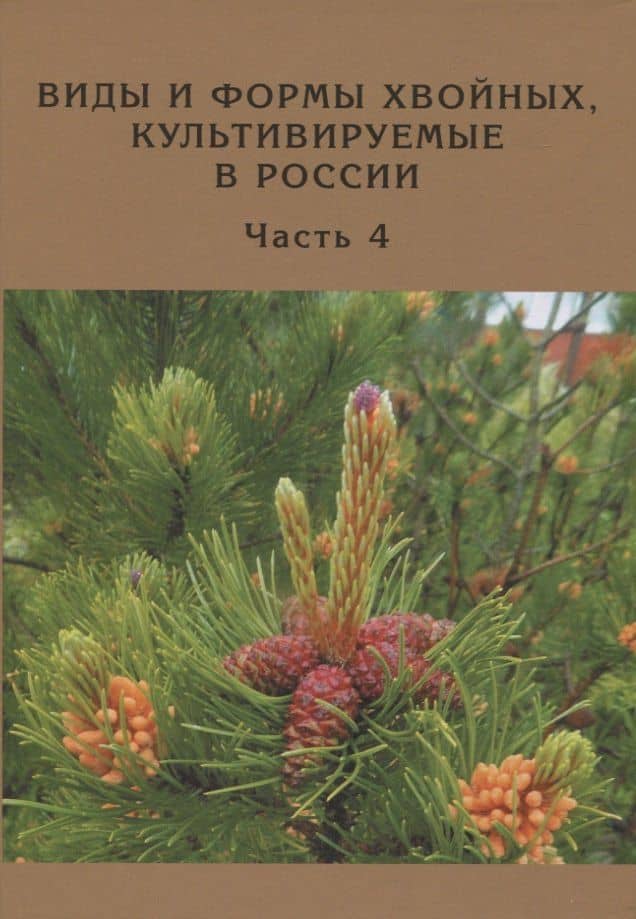 Виды и формы хвойных, культивируемые в России. Часть 4. Сосна — Дмитрий Леонидович Матюхин