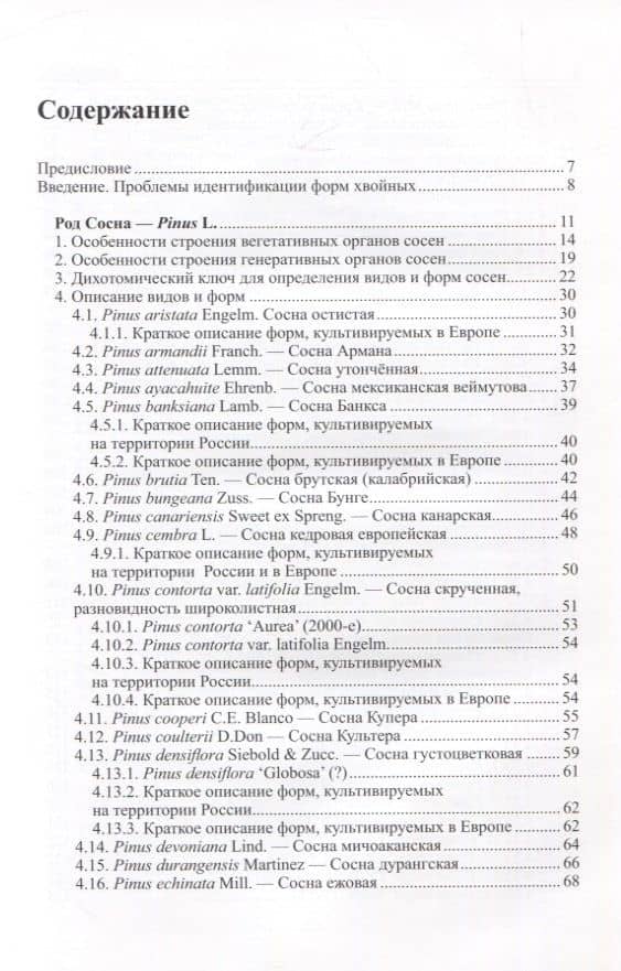 Виды и формы хвойных, культивируемые в России. Часть 4. Сосна — Дмитрий Леонидович Матюхин (2)