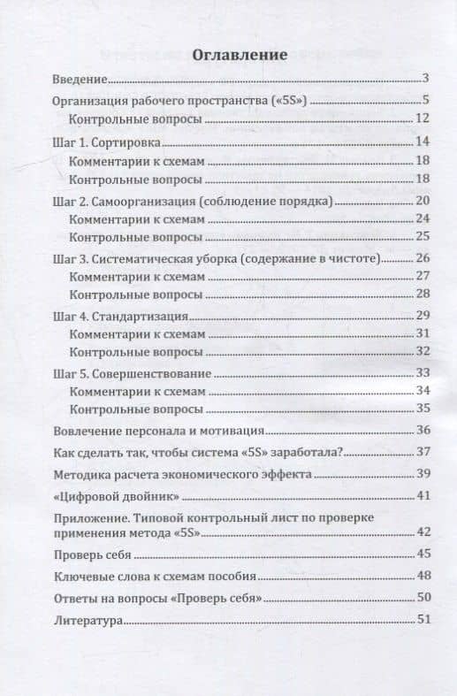 Организация рабочего пространства в условиях бережливого производства по «5S»: учебное пособие — Елена Николаевна Закабунина (2)