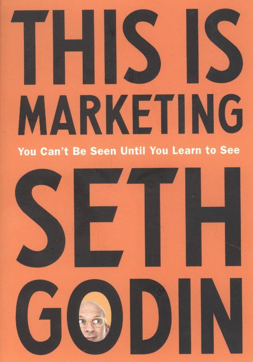 This Is Marketing: You Cant Be Seen Until You Learn to See