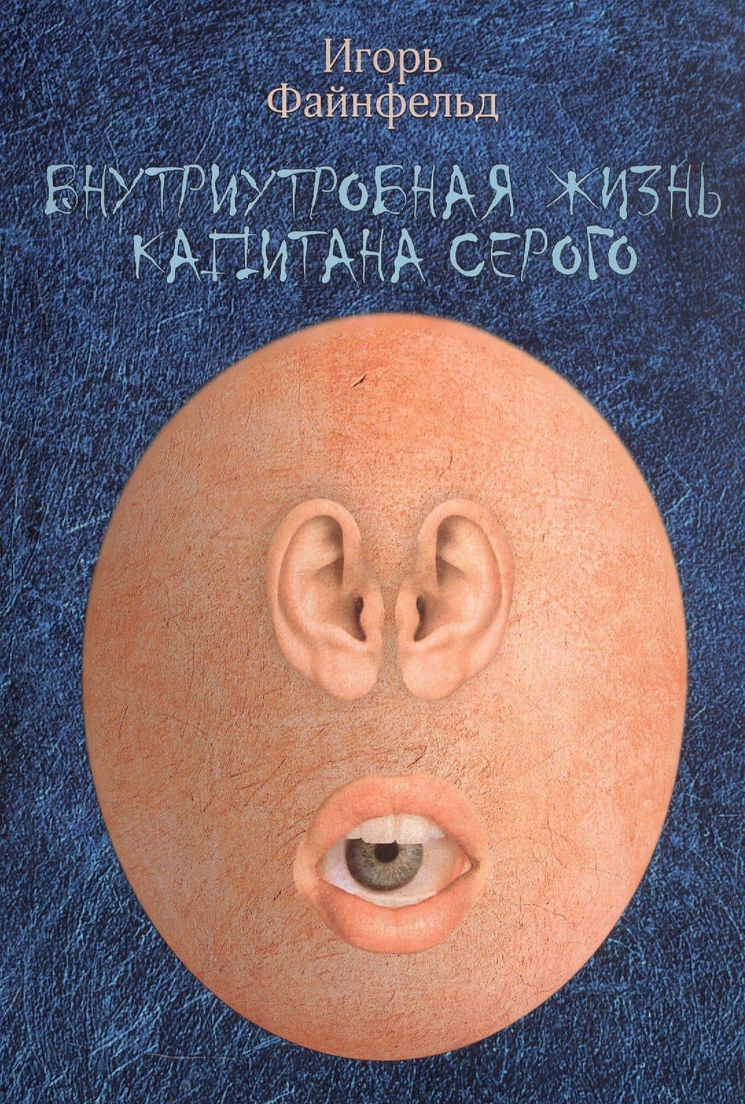 Внутриутробная жизнь капитана Серого. Медитативная повесть (полная версия) — Игорь Файнфельд