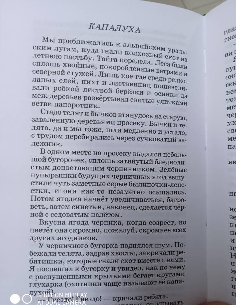Васюткино озеро — Виктор Астафьев (3)