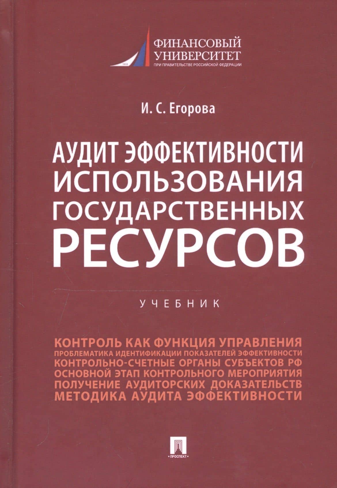 Аудит эффективности использования государственных ресурсов. Учебник — Ирина Егорова