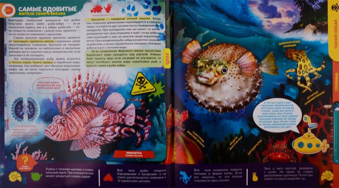 WOW! Секреты океанов. WOW! Животные. Энциклопедии в дополненной реальности (Комплект из 2 книг) (2)