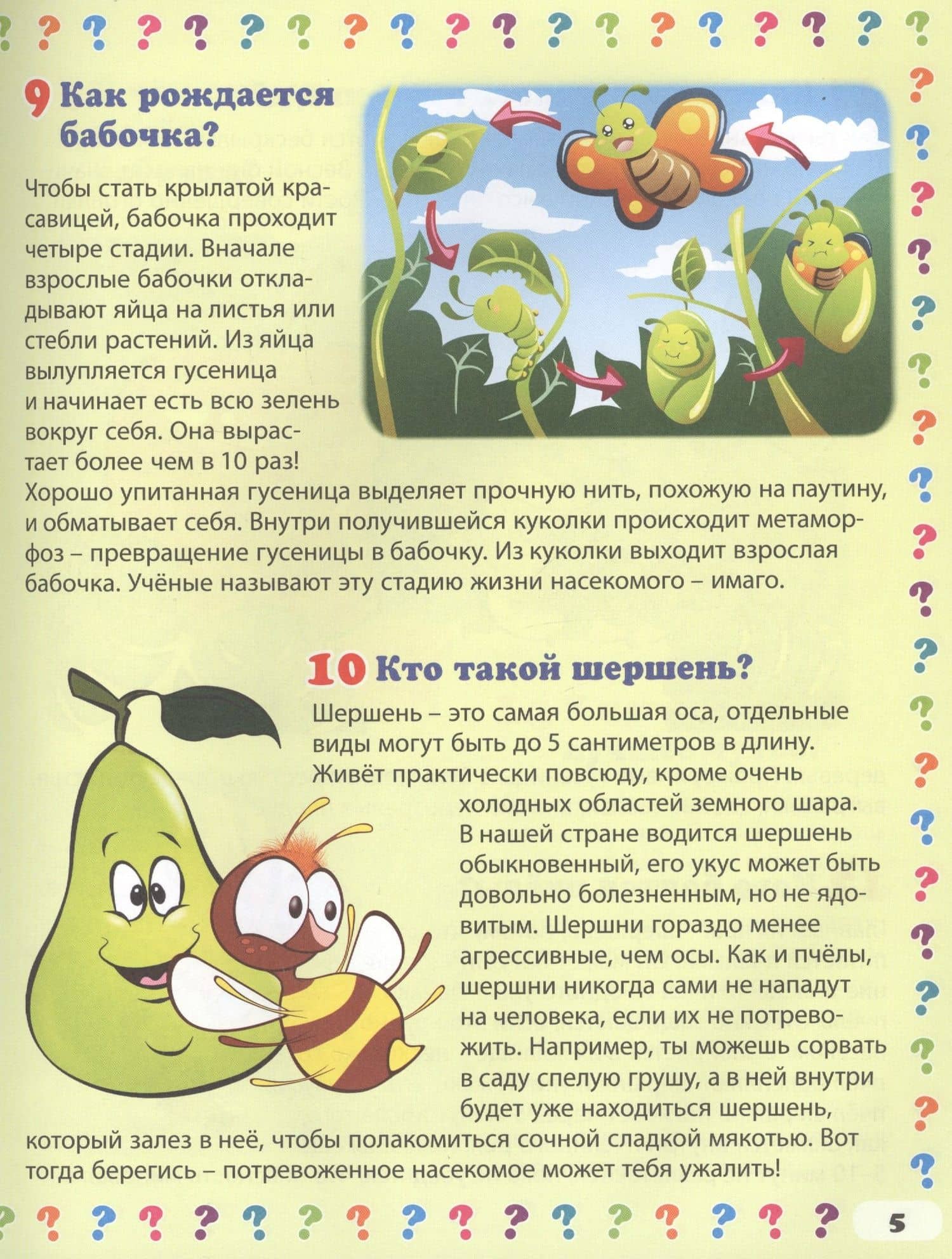 Насекомые. 130 правильных ответов на 130 детских вопросов — Тамара Викторовна Скиба (3)