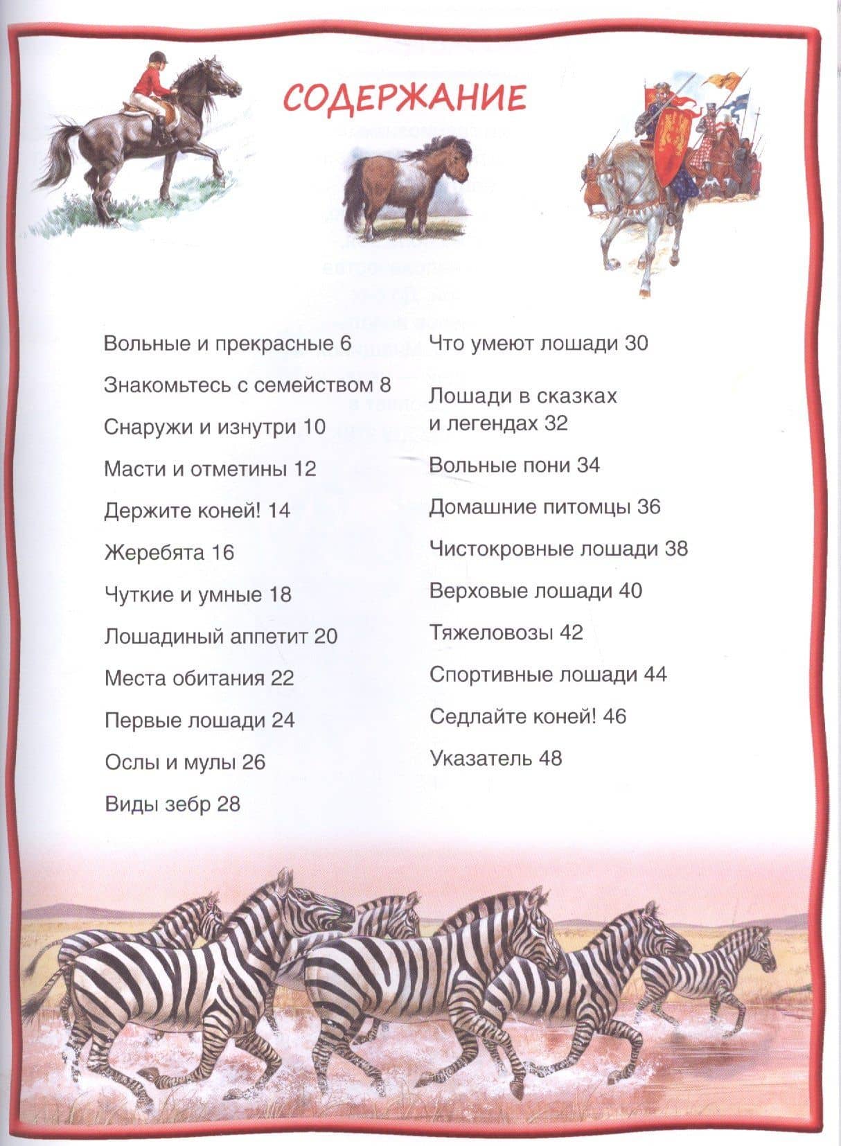 Лошади и пони (2)