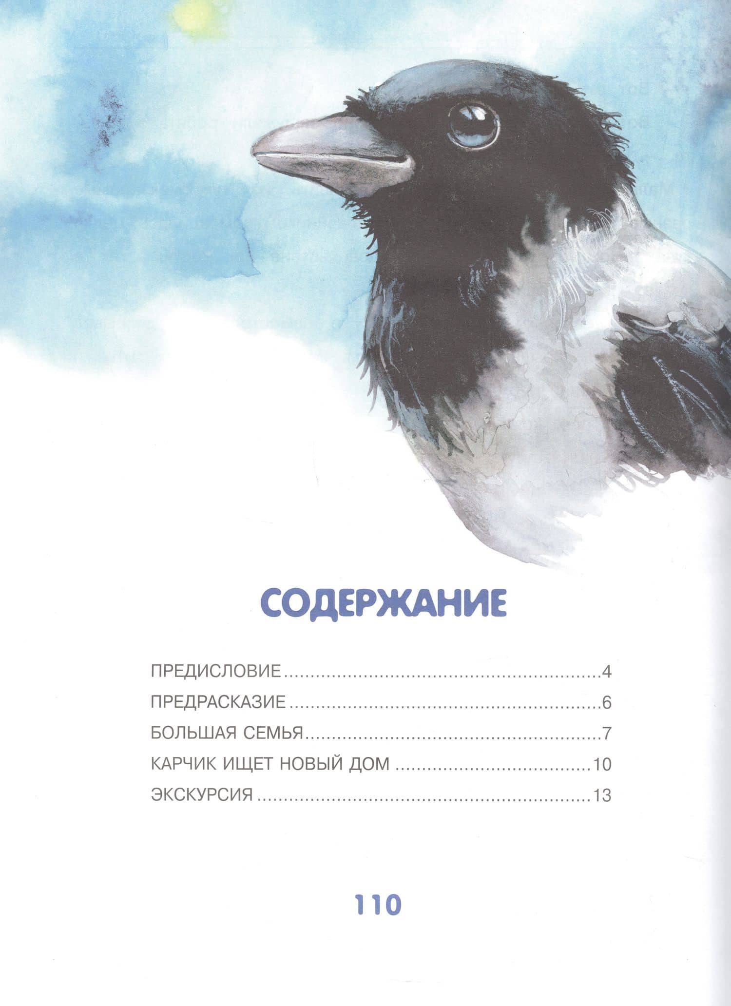 Приключения Карчика и его друзей — Сергей Владимирович Боровский (2)
