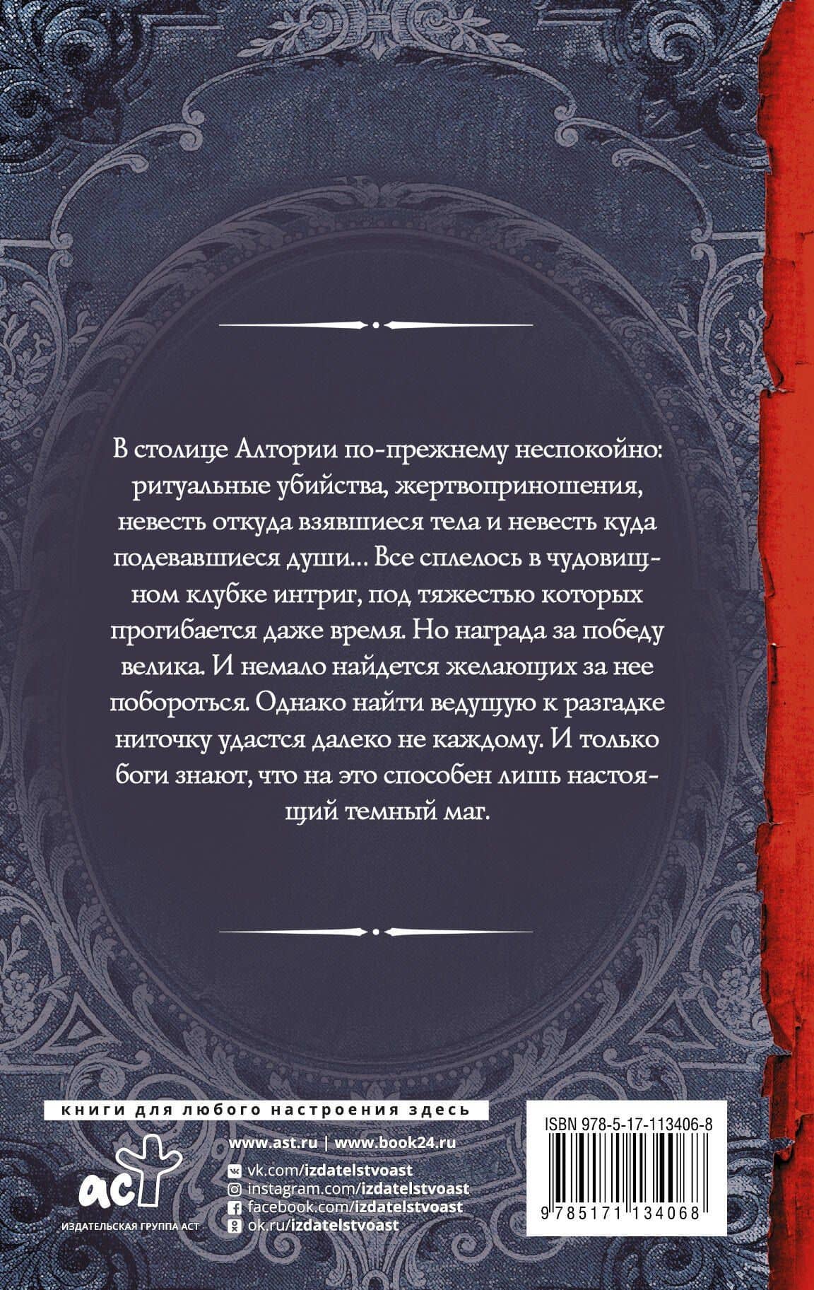 Артур Рэйш. Темный маг — Александра Лисина (2)