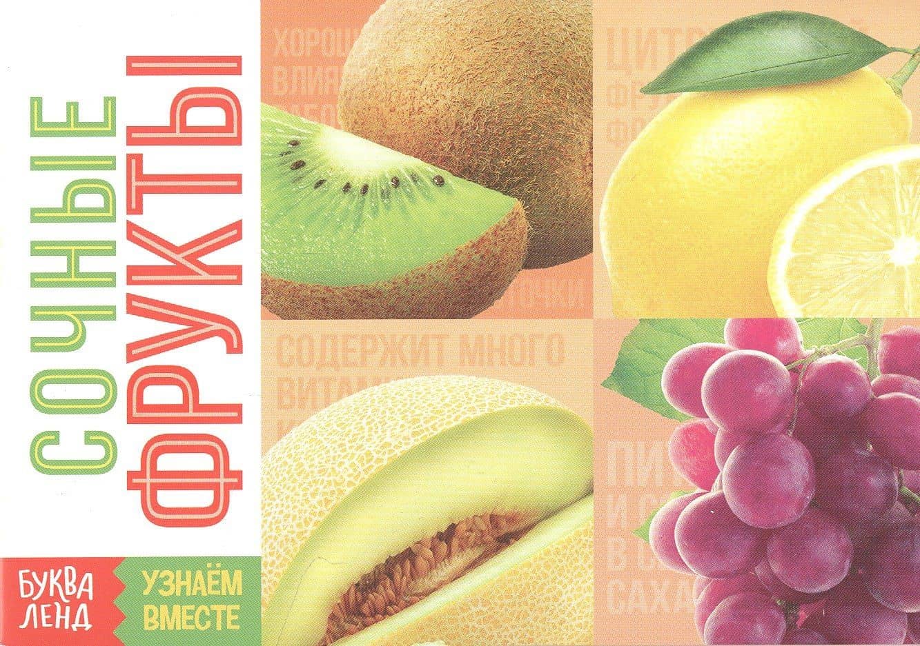 Обучающая книга «Сочные фрукты»
