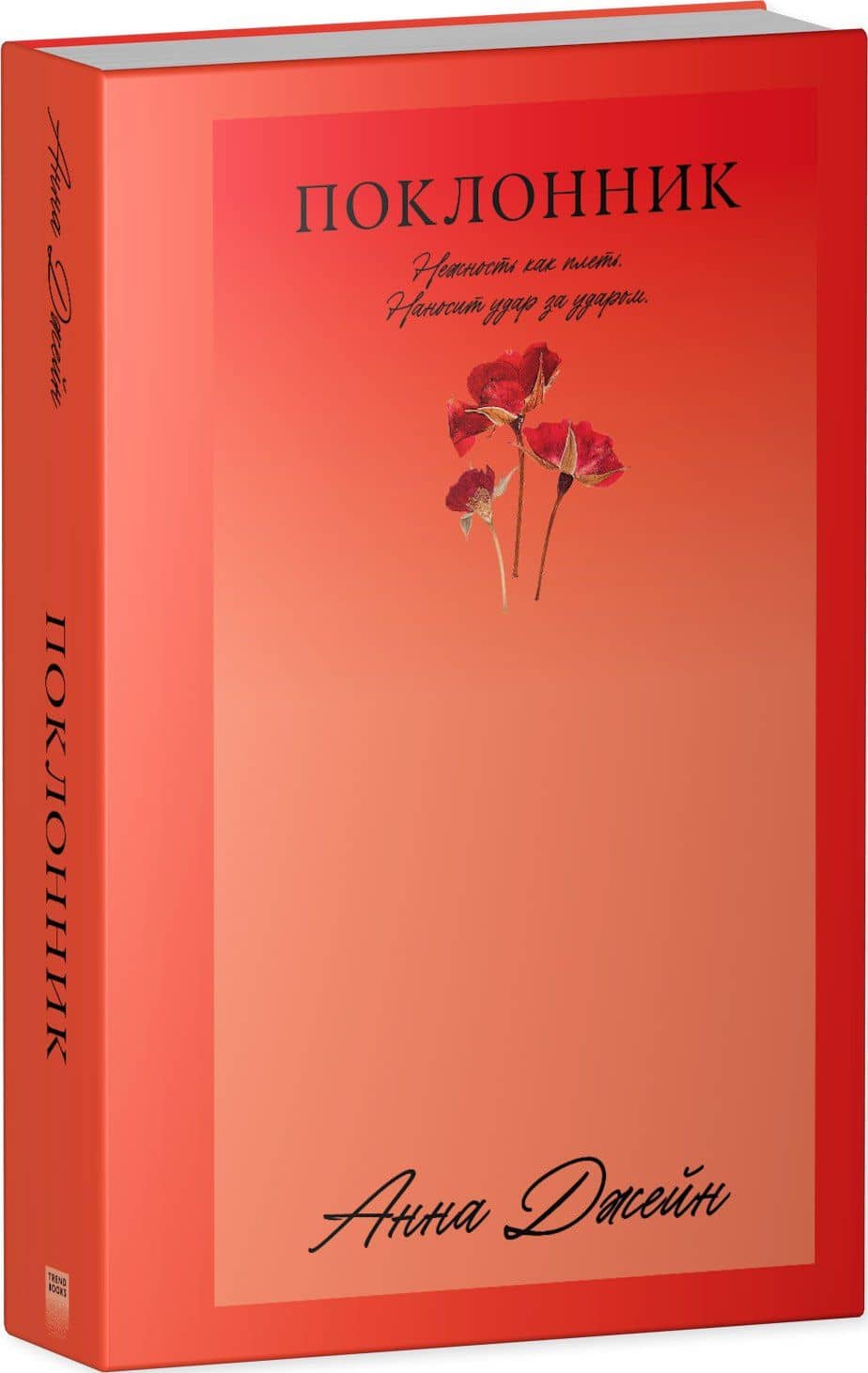 Поклонник — Анна Джейн (3)