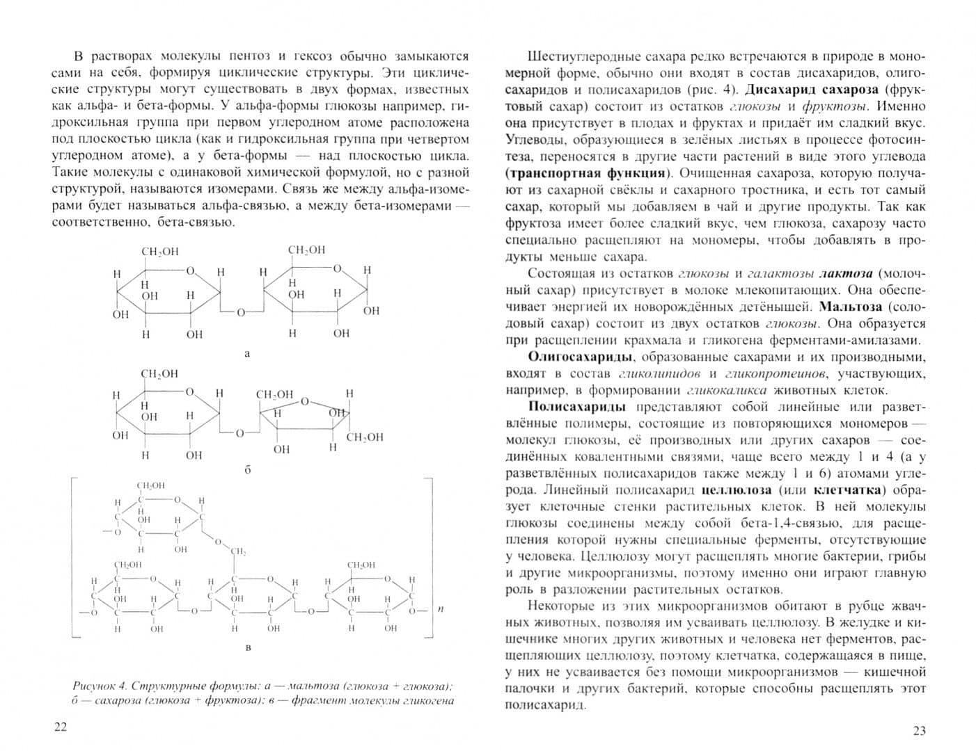 Общая биология. В 2-х частях. Часть I. Основы цитологии. Размножение и развитие. Основы генетики — Александр Иннокентьевич Ким (2)