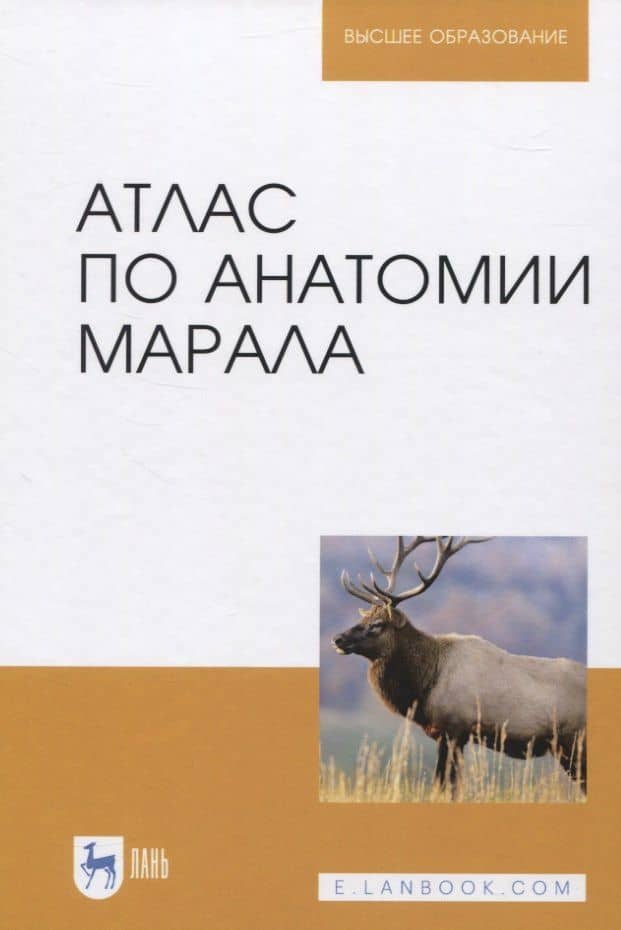 Атлас по анатомии марала