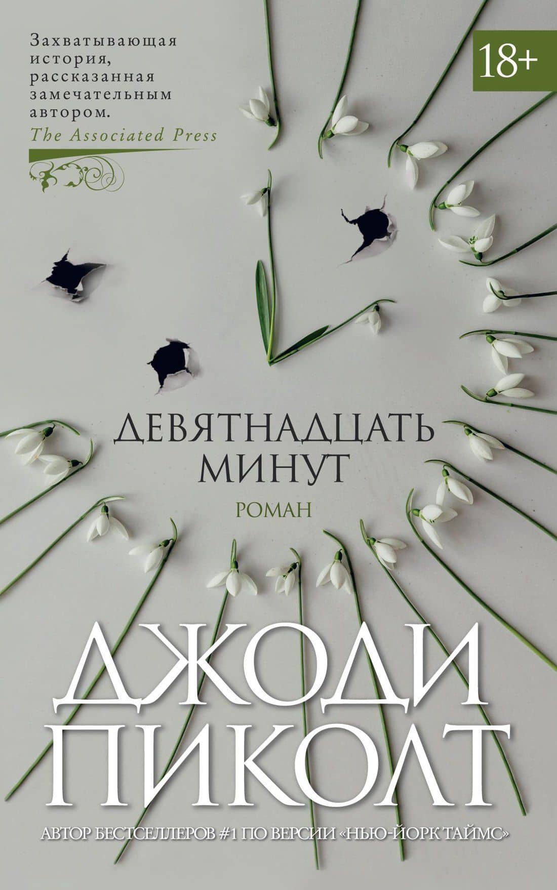 Девятнадцать минут — Джоди Пиколт