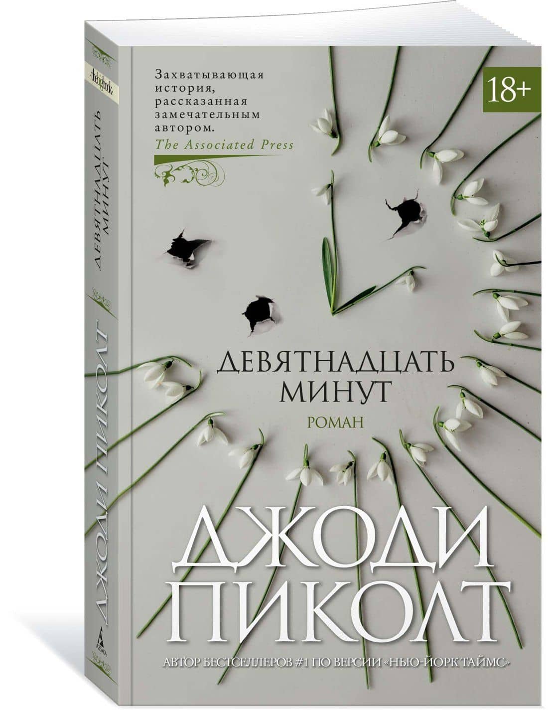 Девятнадцать минут — Джоди Пиколт (2)