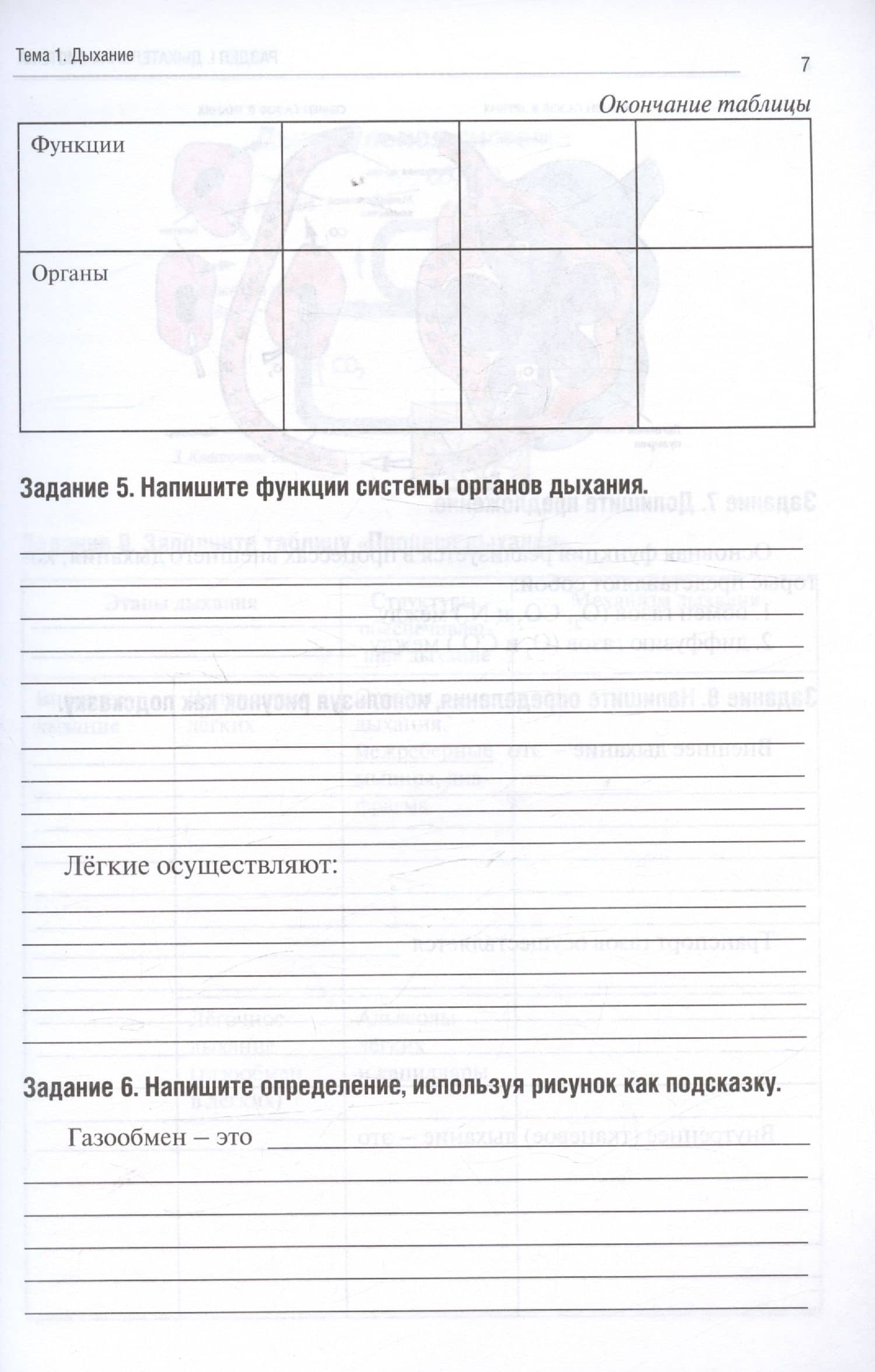 Анатомия человека. Спланхнология. Часть 5. Дыхательная система. Мочевыделительная система. Половая система. Тетрадь-практикум — Анна Викторовна Олсуфьева (3)