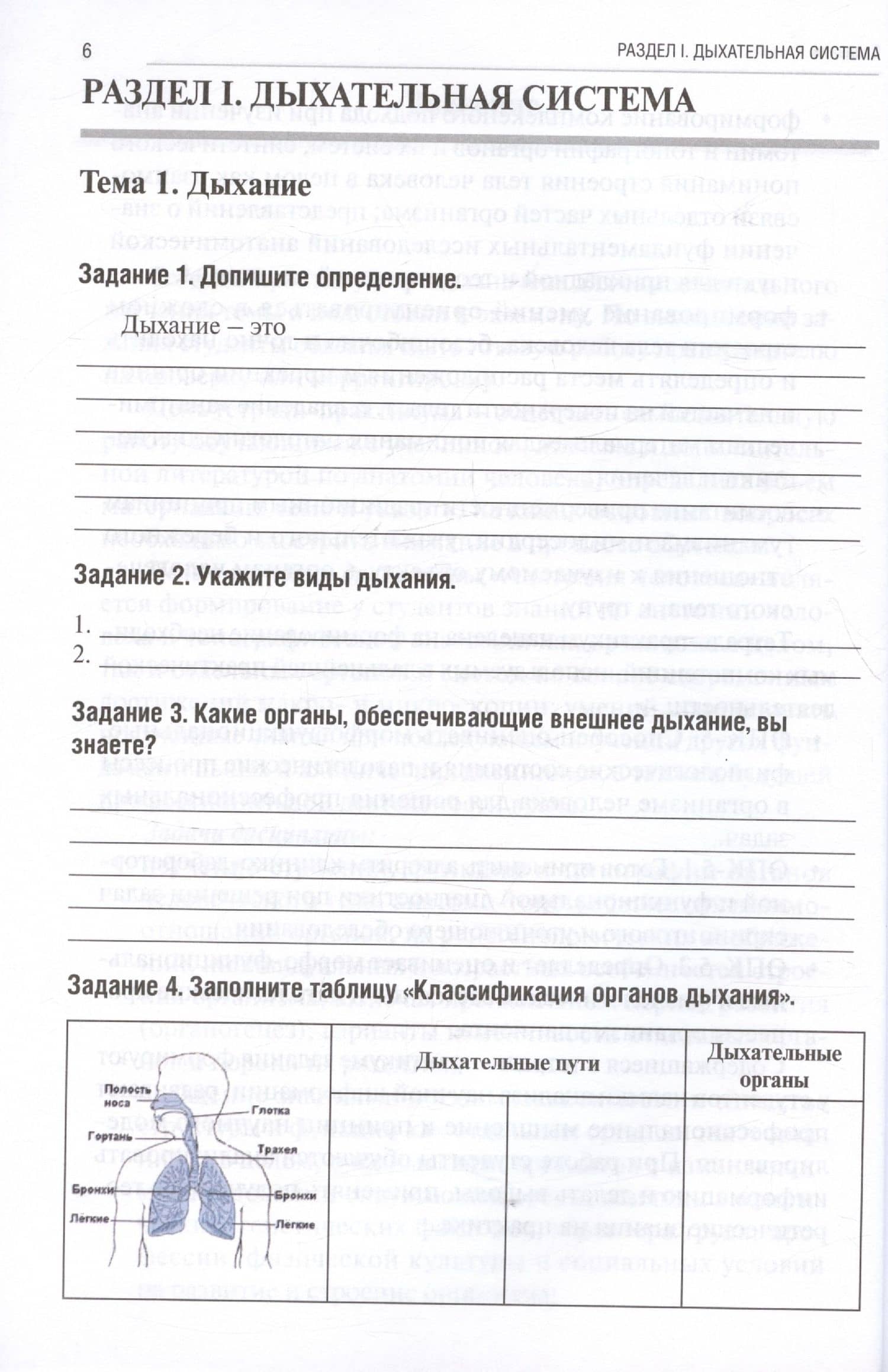 Анатомия человека. Спланхнология. Часть 5. Дыхательная система. Мочевыделительная система. Половая система. Тетрадь-практикум — Анна Викторовна Олсуфьева (2)