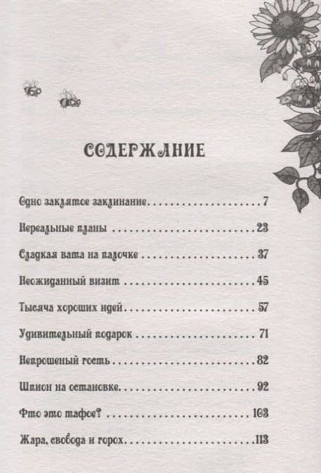 Петронелла и злой пекарь — Сабина Штэдинг (2)