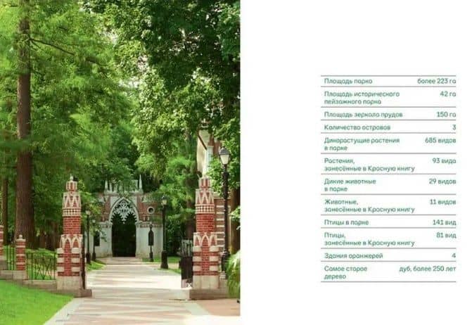 Прогулки в Царицыне с натуралистом — Марина Шайкина (2)