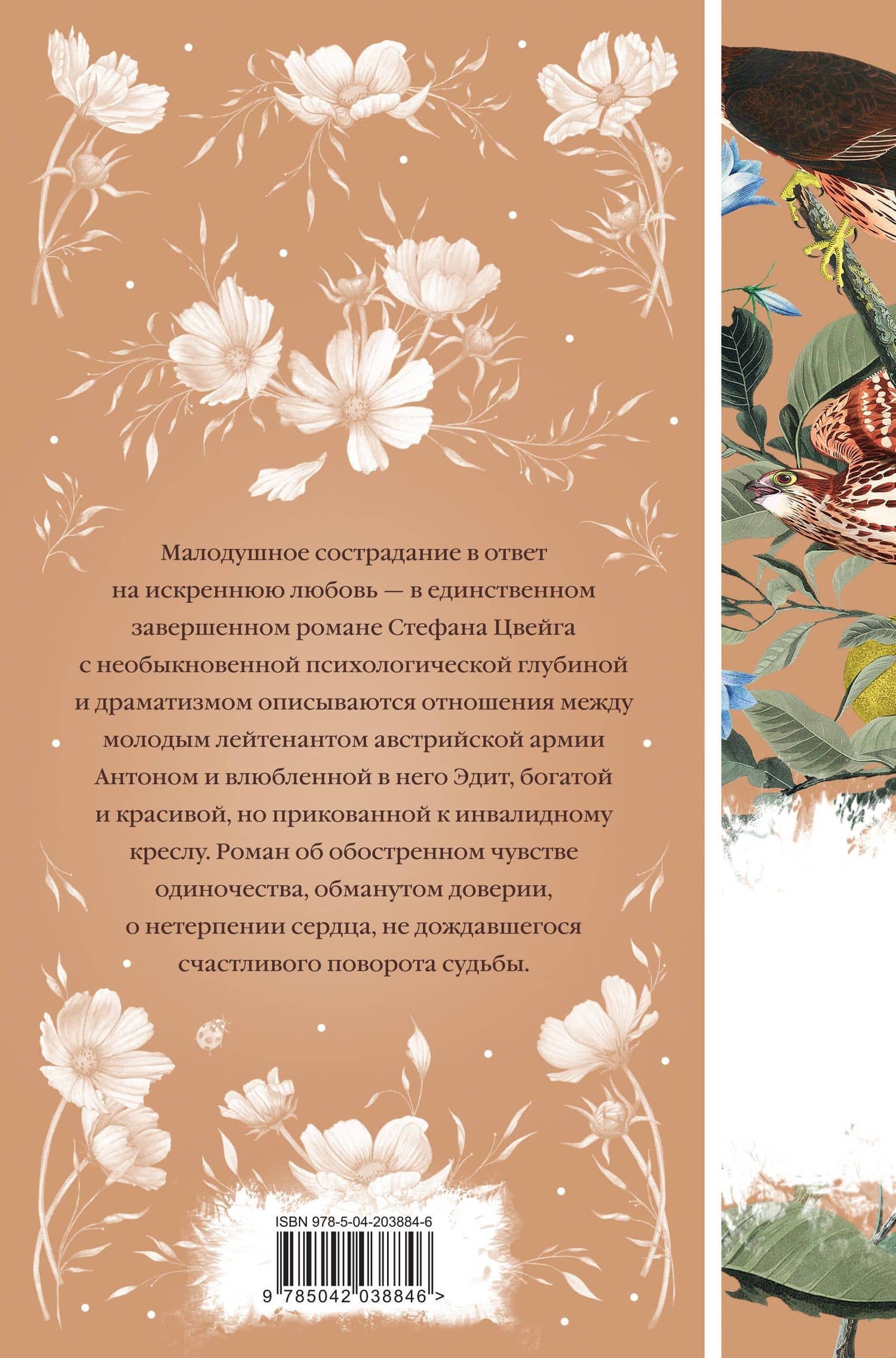 Нетерпение сердца — Стефан Цвейг (2)