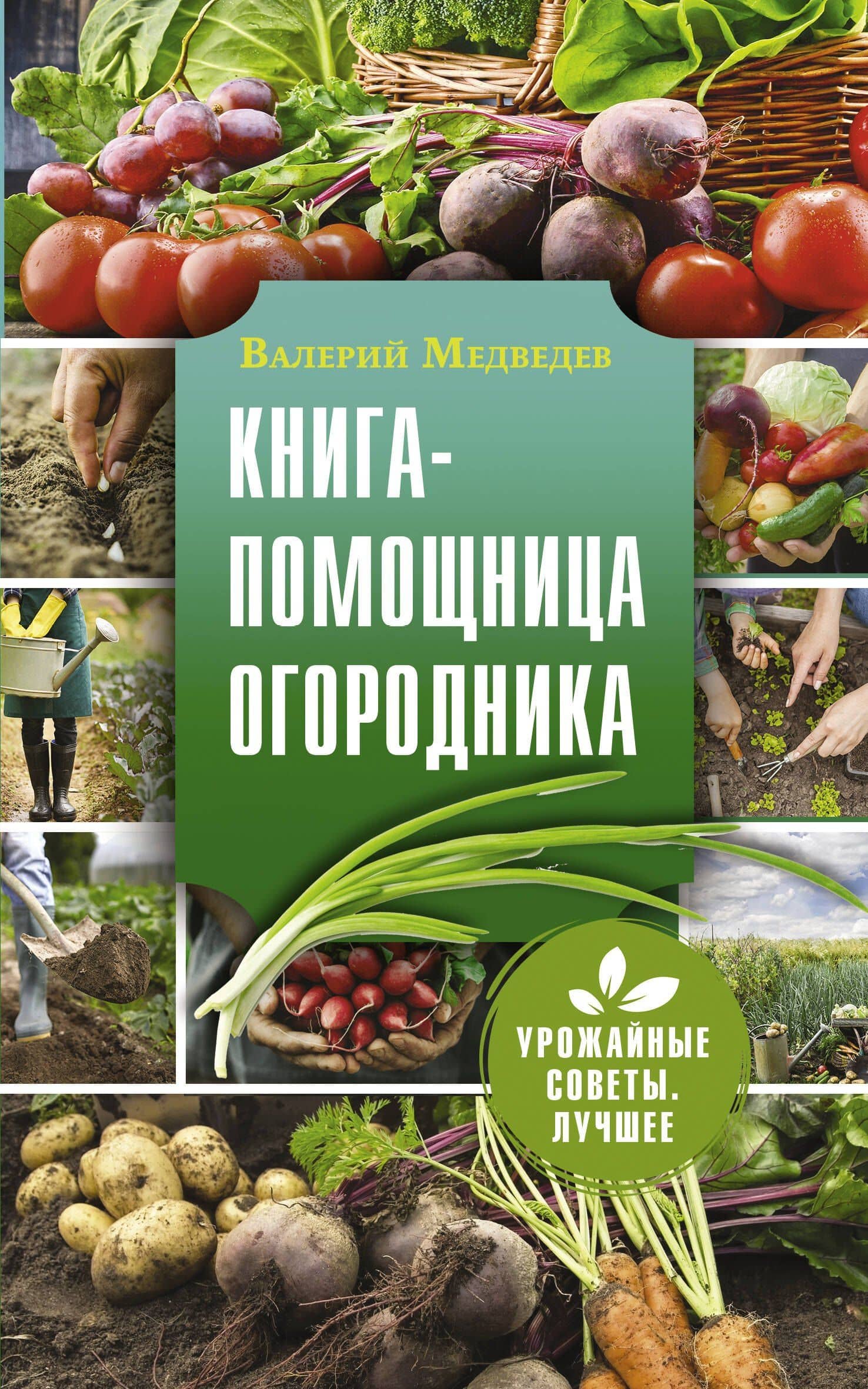 Книга-помощница огородника - Заметки успешного огородника — Валерий Сергеевич Медведев