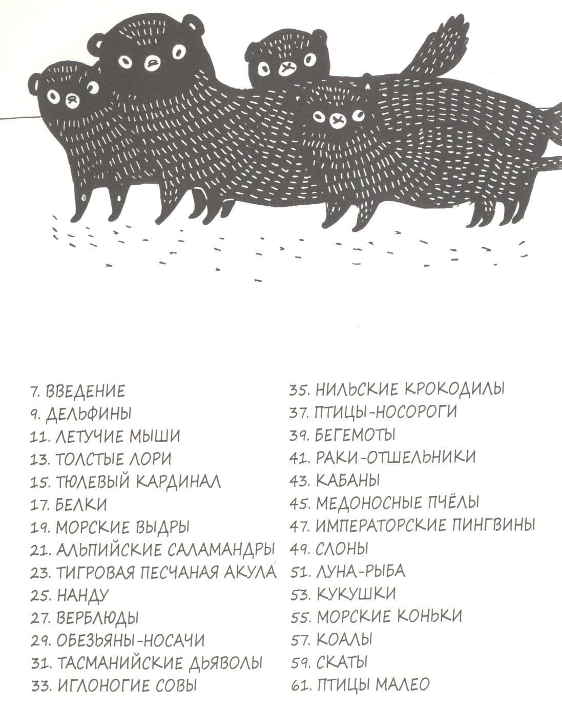 Забавные факты о детенышах животных в картинках — Майя Сэфстрем (2)