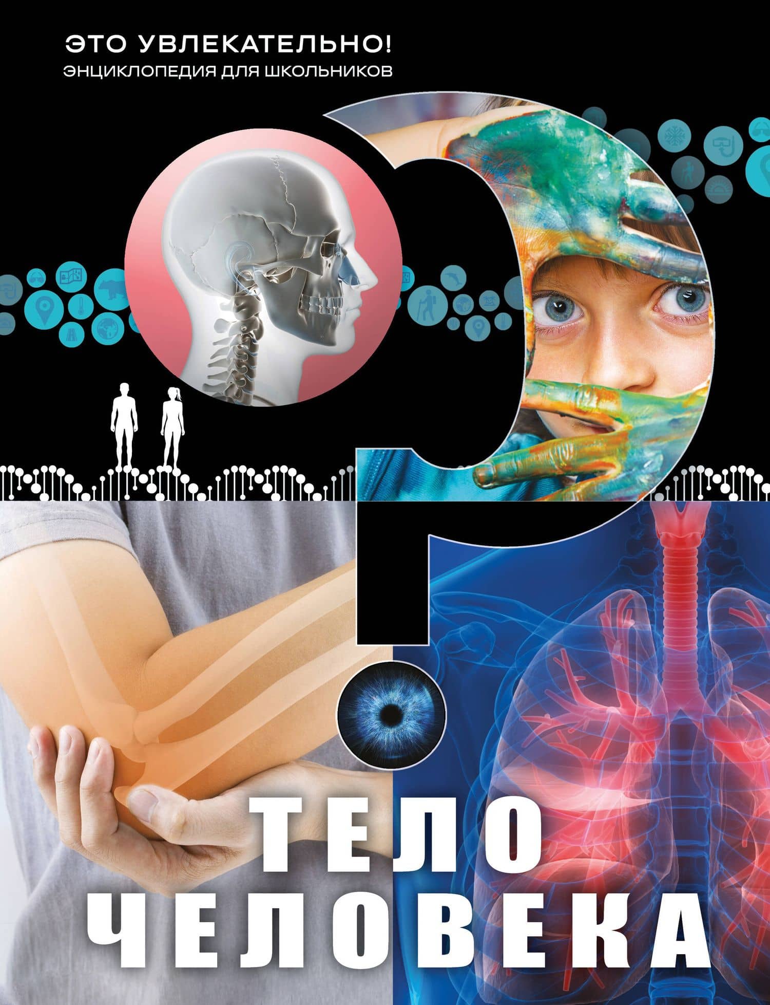 Тело человека
