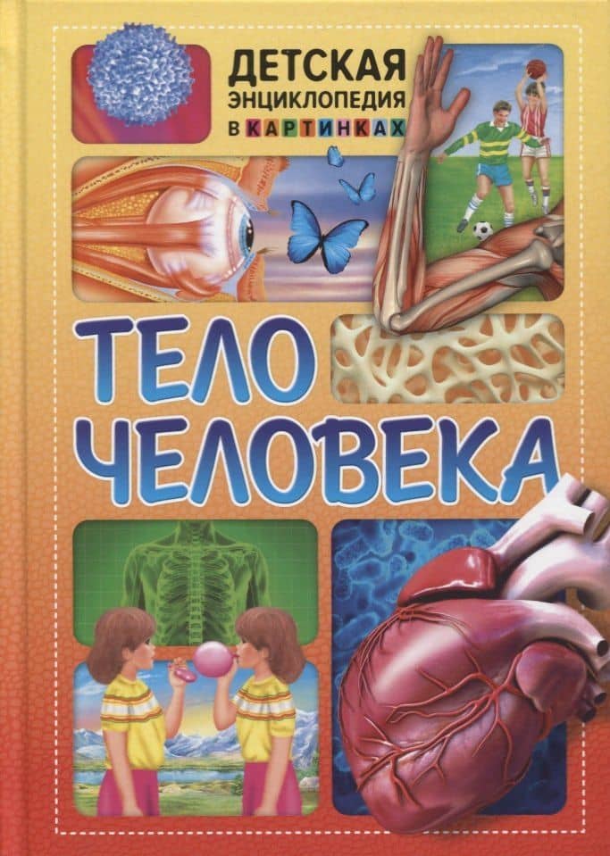 Тело человека. Детская энциклопедия в картинках.