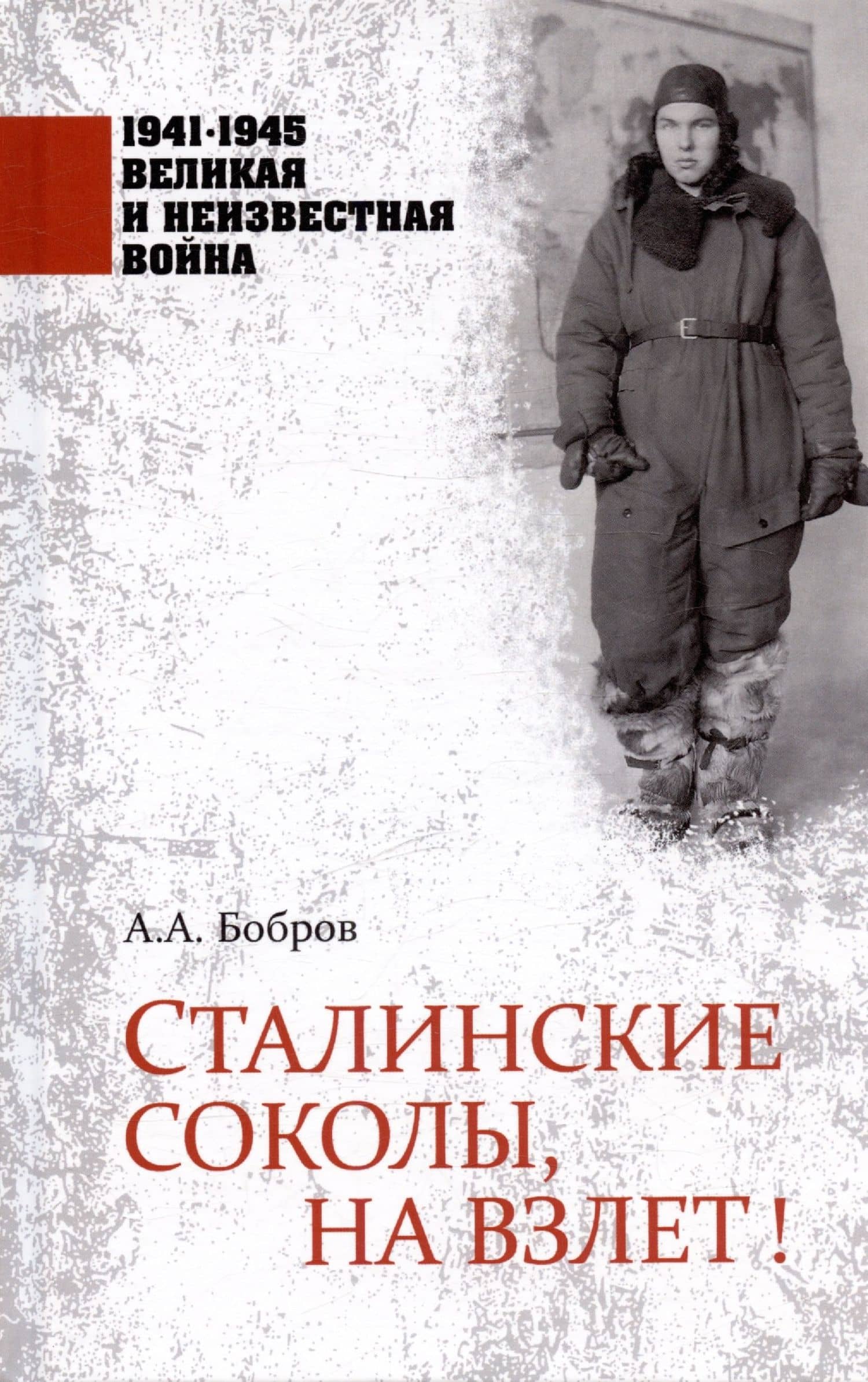 Сталинские соколы, на взлет! — Александр Александрович Бобров