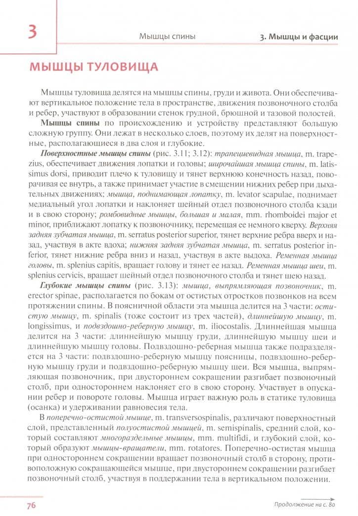 Универсальный атлас анатомии человека. Учебное пособие для студентов медицинских учебных заведений — Рудольф Павлович Самусев (2)