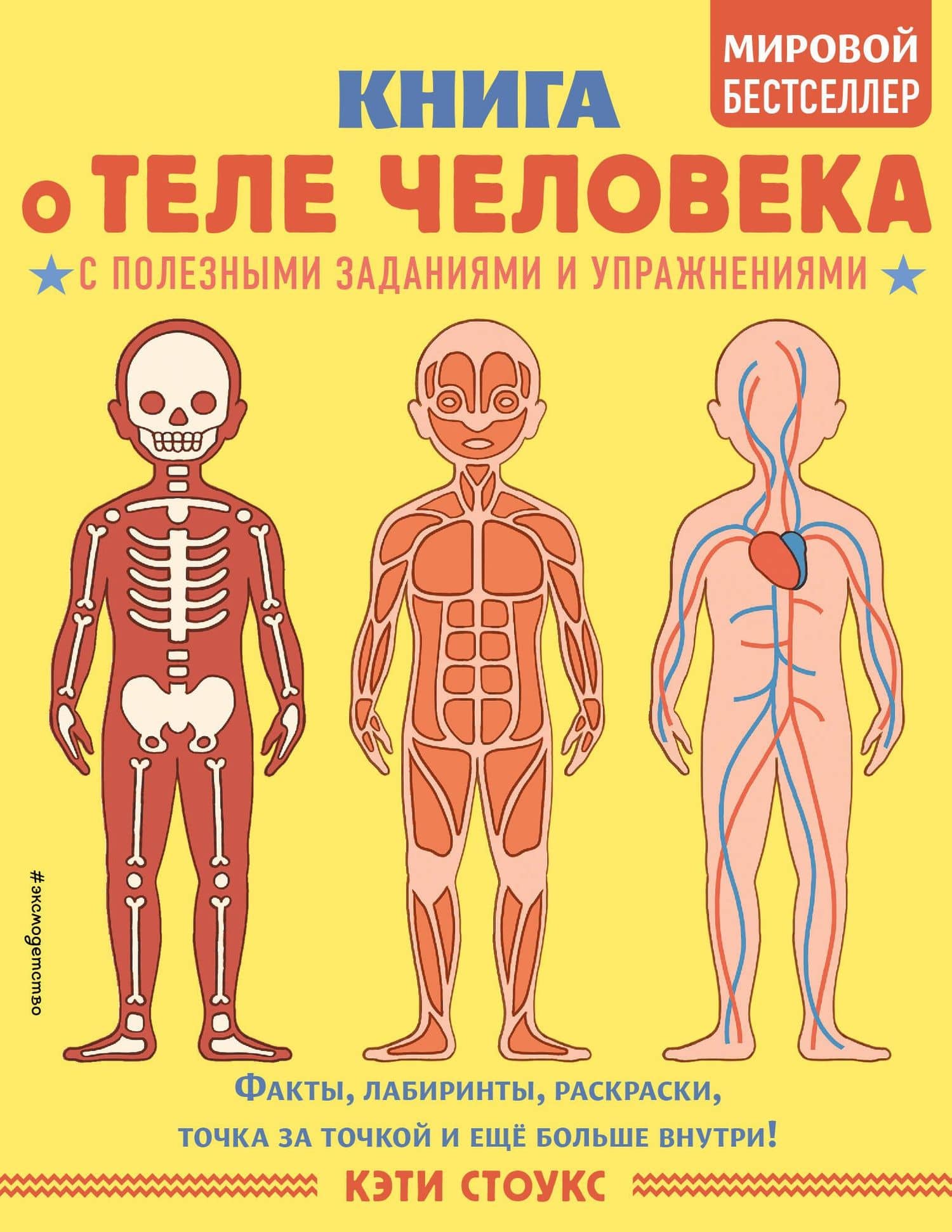 Книга о теле человека с полезными заданиями и упражнениями — Кэти Стоукс